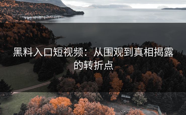 黑料入口短视频：从围观到真相揭露的转折点
